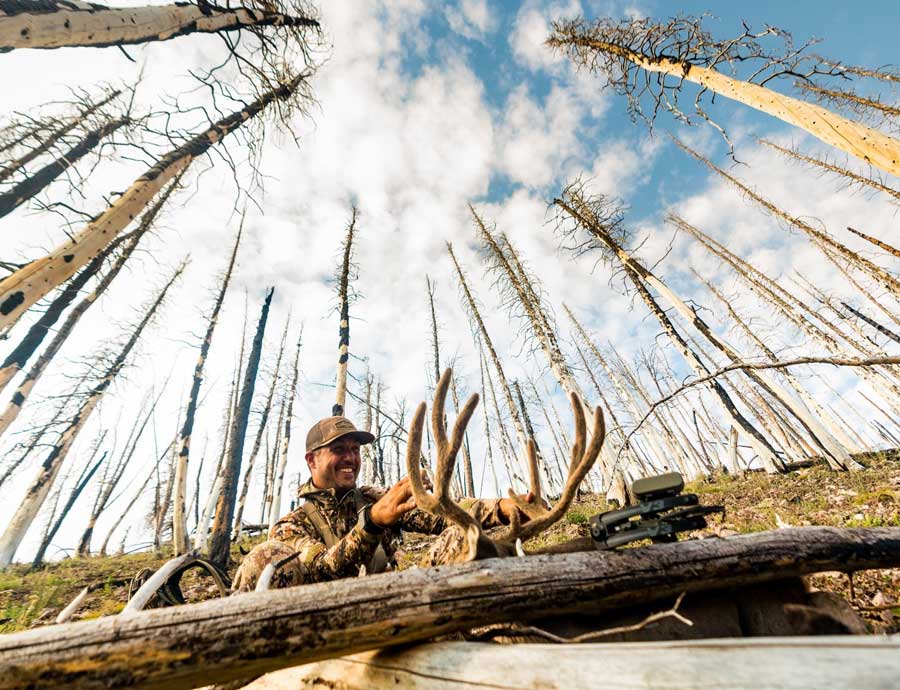 Mathews V3 - лук для охоты!