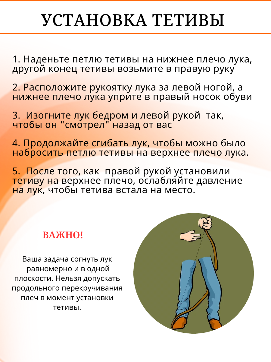 Лук классический Everest, длина 68", сила 22 lbs, рукоять дерево длина 24", плечи дерево фом, правый Лук классический Everest, длина 68", сила 22 lbs, рукоять дерево длина 24", плечи дерево фом, правый