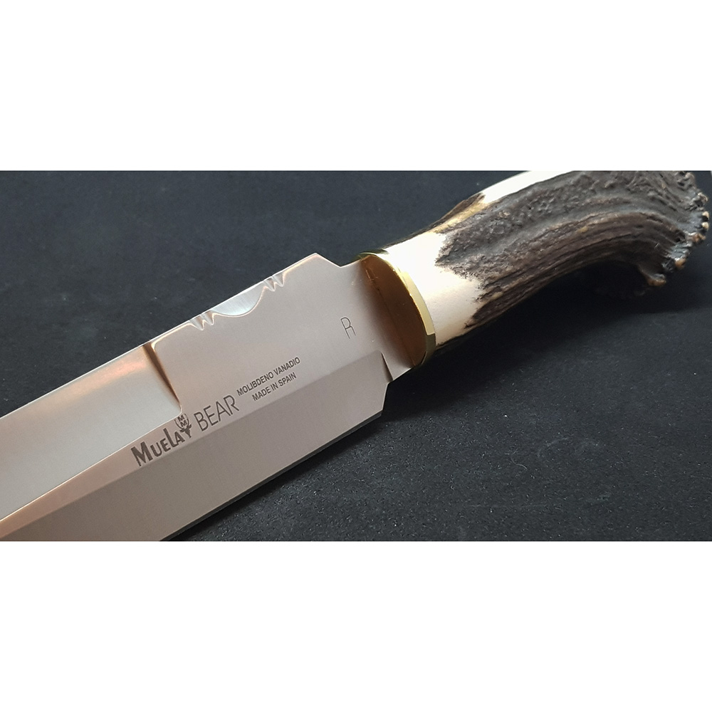 Нож "BEAR" с фикс клинком длиной 24 см, рукоять рог оленя с кроной, ножны кожа