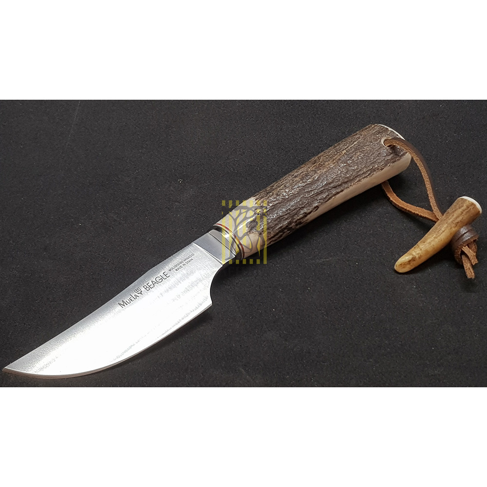 Нож "BEAGLE" с фикс клинком длиной 11см, рукоять рог оленя, ножны кожа Нож "BEAGLE" с фикс клинком длиной 11см, рукоять рог оленя, ножны кожа