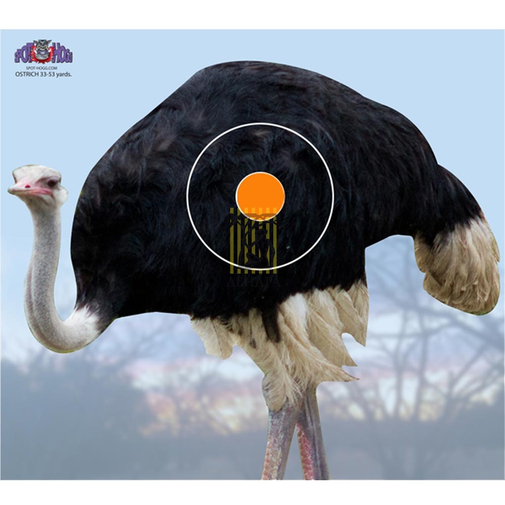 Мишень Safari "Страус"