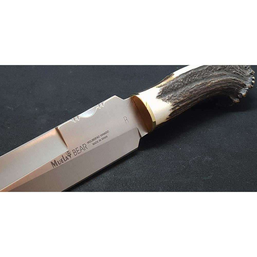 Нож "BEAR" с фикс клинком длиной 24 см, рукоять рог оленя с кроной, ножны кожа