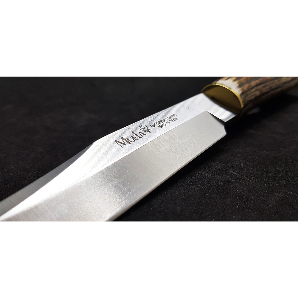 Нож серии "SH" с фикс клинком длиной 16 см, рукоять рог оленя, ножны кожа