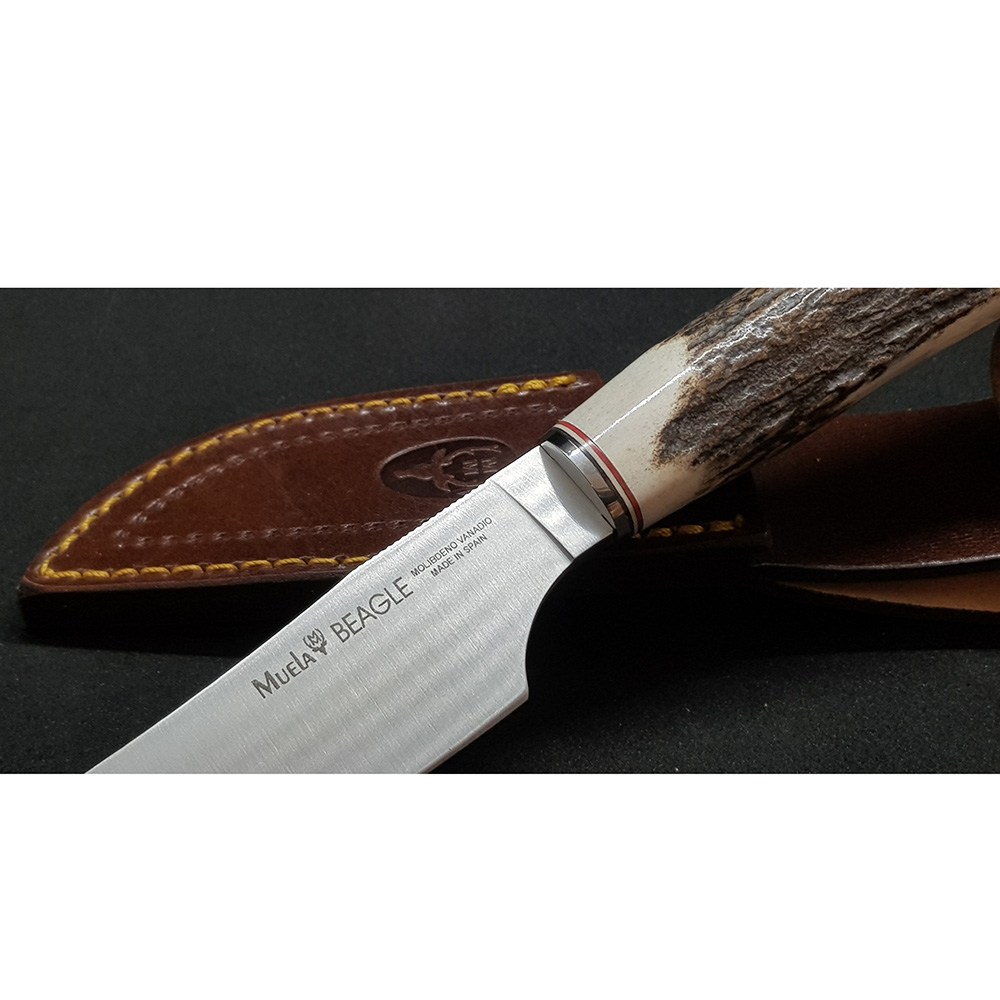 Нож "BEAGLE" с фикс клинком длиной 11см, рукоять рог оленя, ножны кожа Нож "BEAGLE" с фикс клинком длиной 11см, рукоять рог оленя, ножны кожа