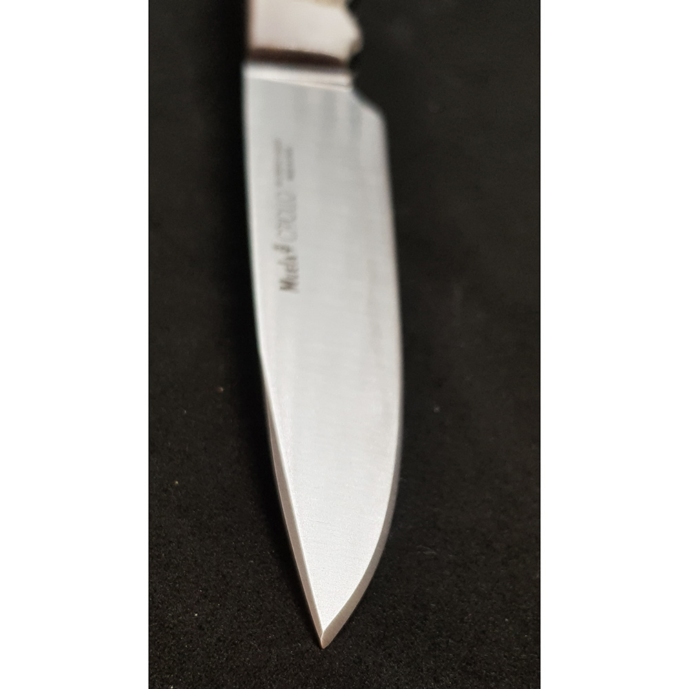 Нож "CRIOLLO" с фикс клинком длиной 14 см, рукоять рог оленя, ножны кожа