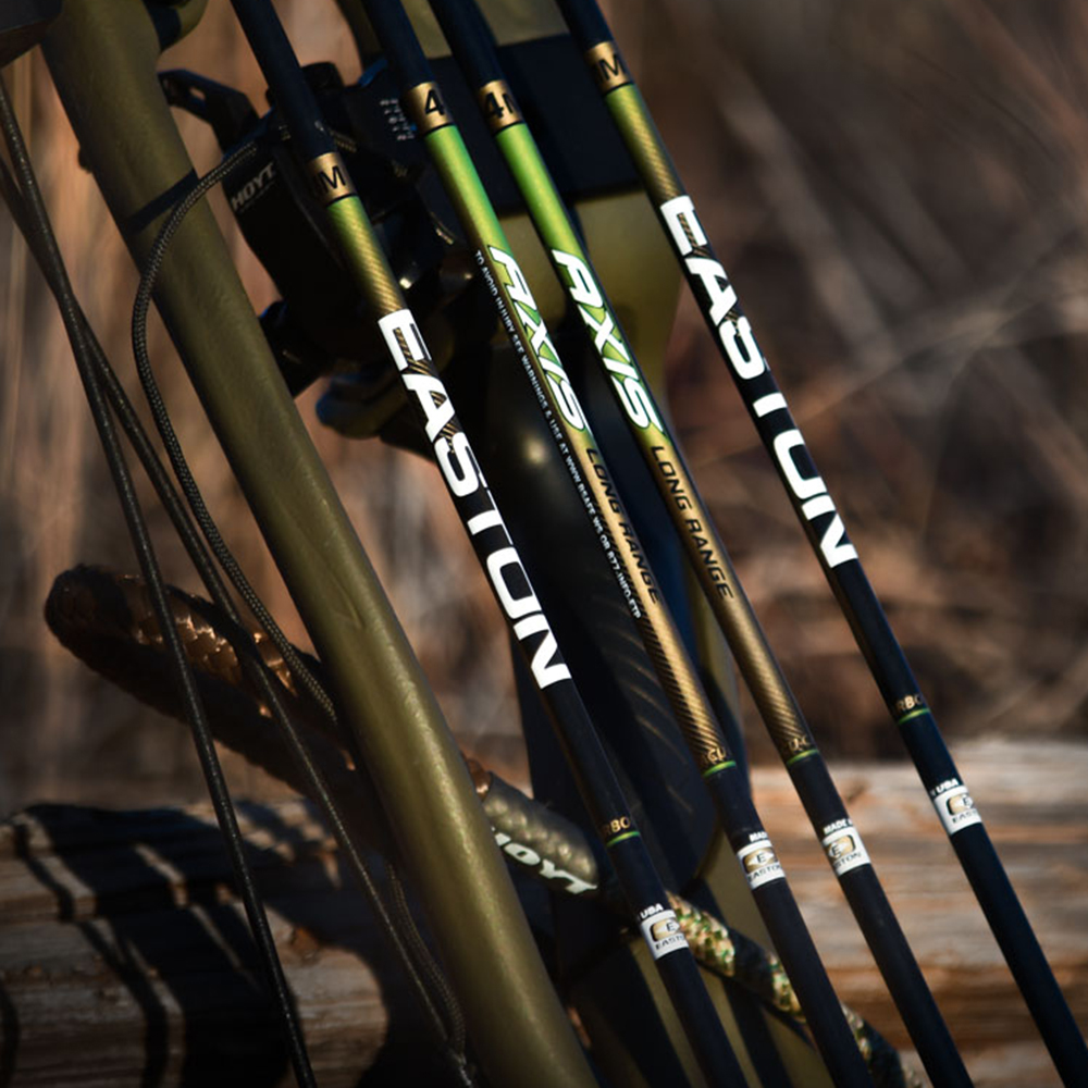 Древки для стрел AXIS диаметр 4 мм, размер 300, материал карбон в комплекте хвостовик Microlite и ин
