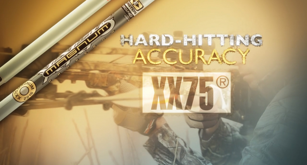 стрела Магнум.jpg стрела Магнум.jpg