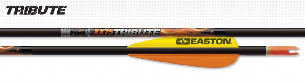 Easton XX75 Tribute.jpg