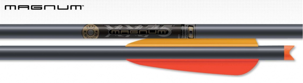 Magnum 22.jpg Magnum 22.jpg