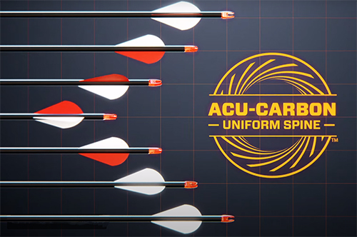 стрелы Axis.jpg