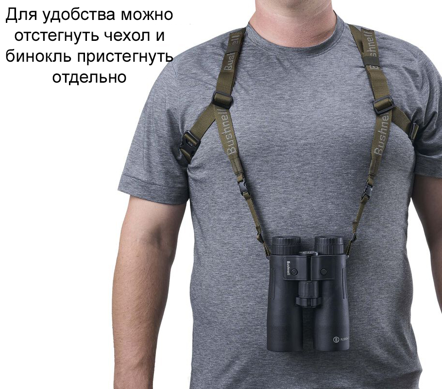 BABINPCT_Context 8.jpg BABINPCT_Context 8.jpg