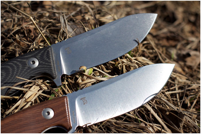 Дендра Russian Bear в разном исполнении