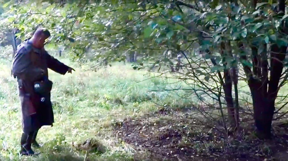 Место гона косуль