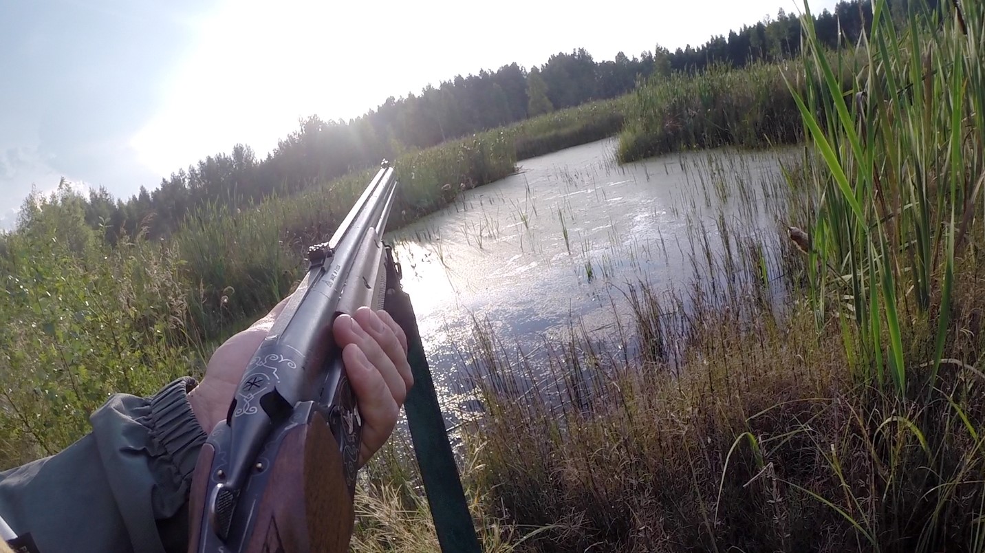 Охота на утку на болоте