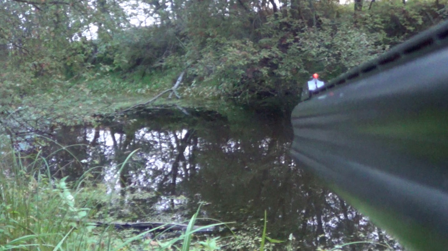 Осенняя охота на уток