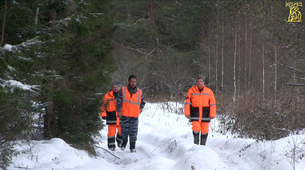 Загонщики во время охоты на лося